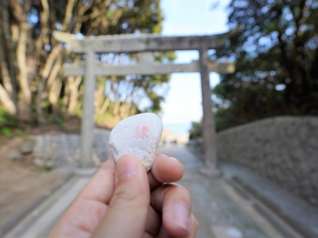 の画像