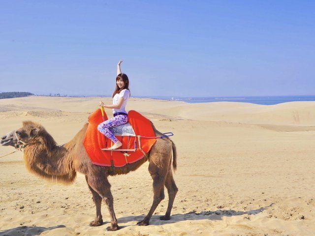 の画像