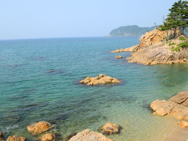 の画像