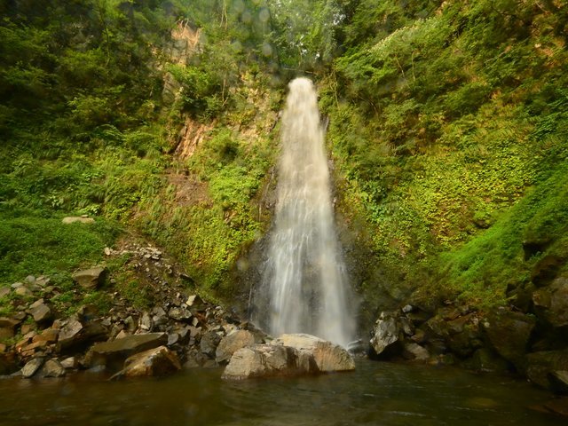 の画像