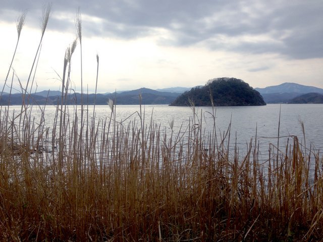 の画像