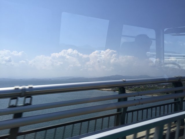 の画像