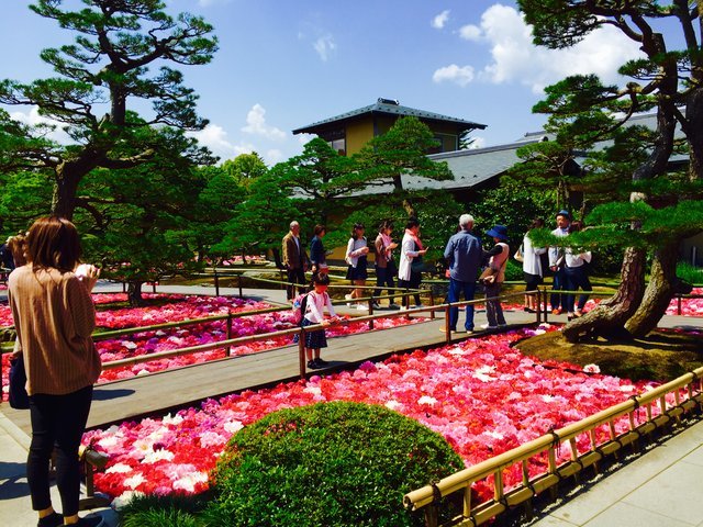 の画像