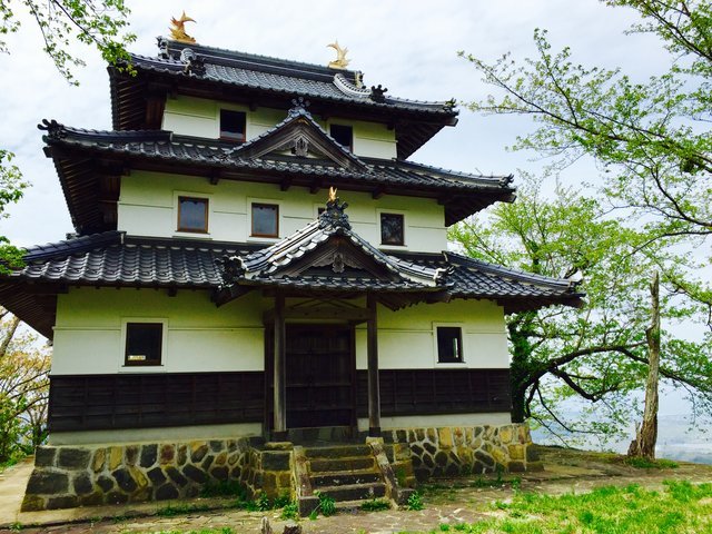 の画像