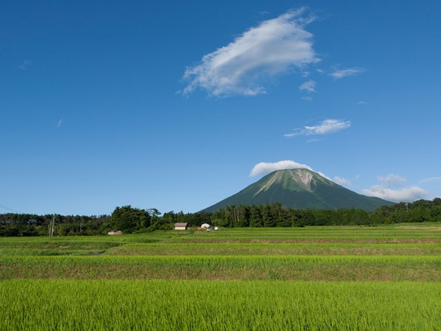 の画像