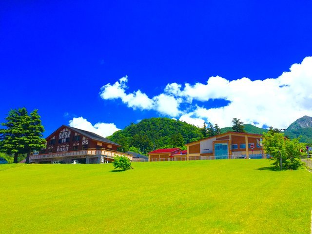 の画像