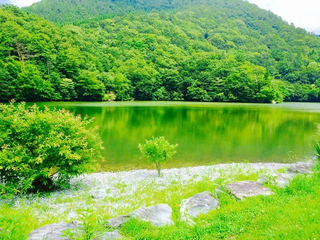 の画像