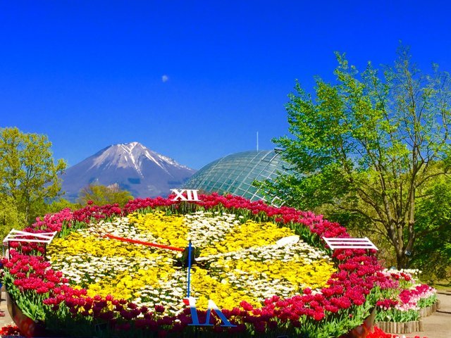 の画像