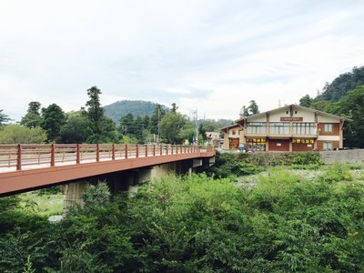 の画像