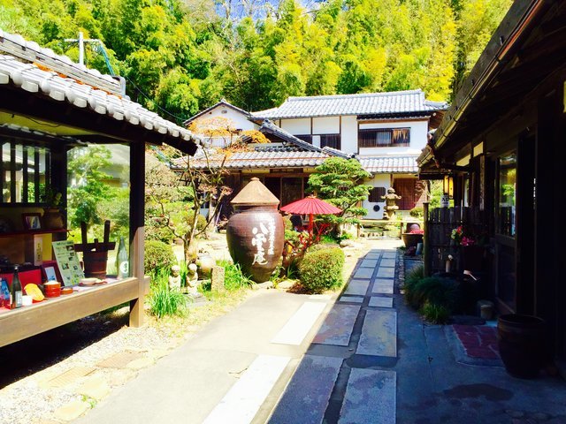の画像