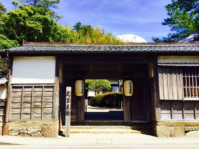 の画像