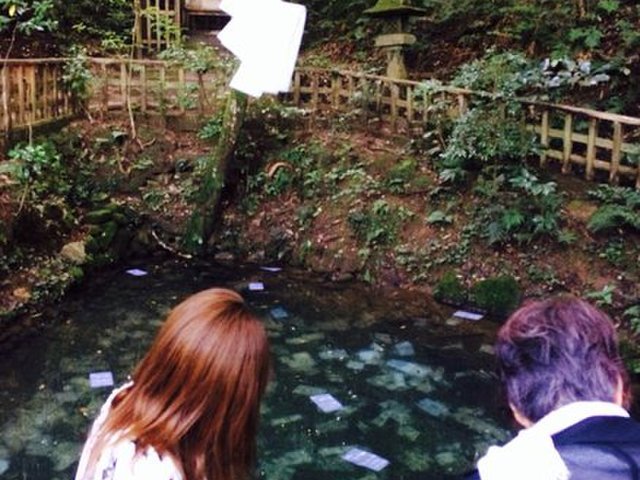 の画像