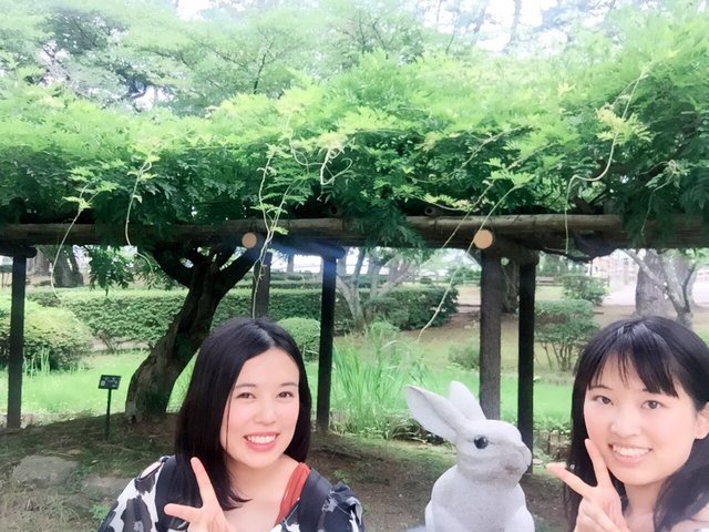 の画像