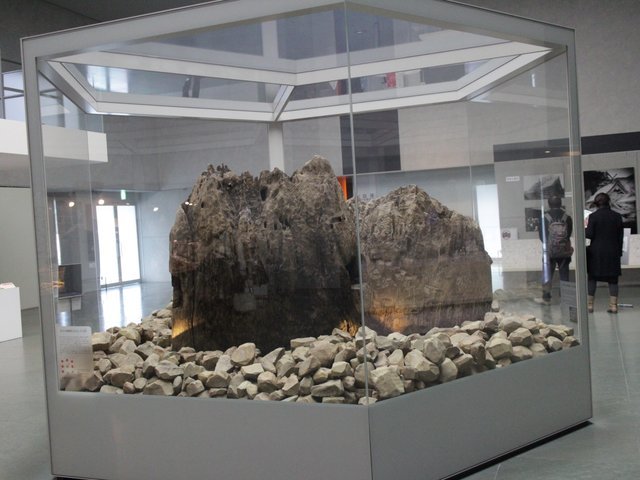 の画像