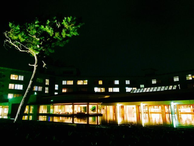 の画像
