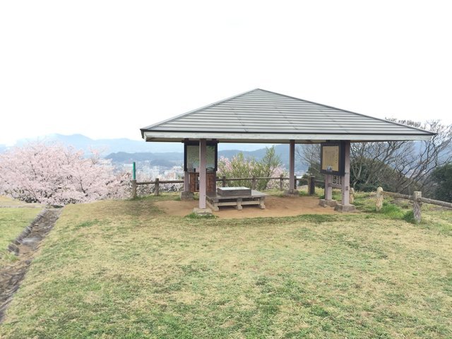 の画像