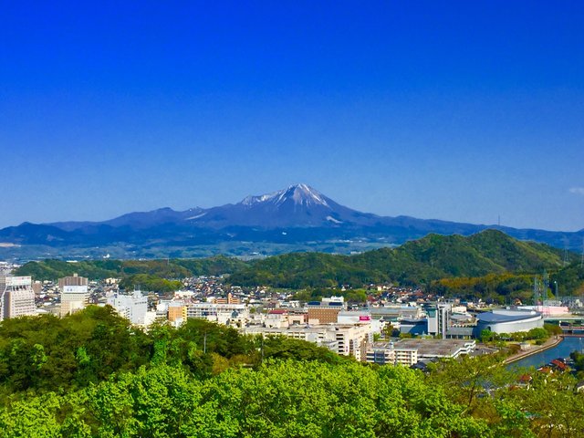 の画像