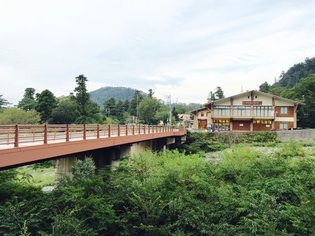 の画像