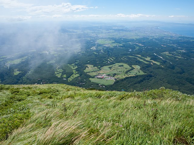 の画像