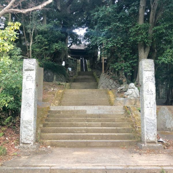の画像