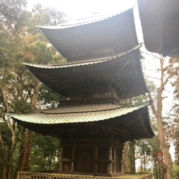 の画像