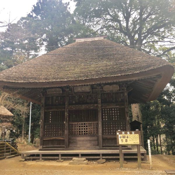 の画像