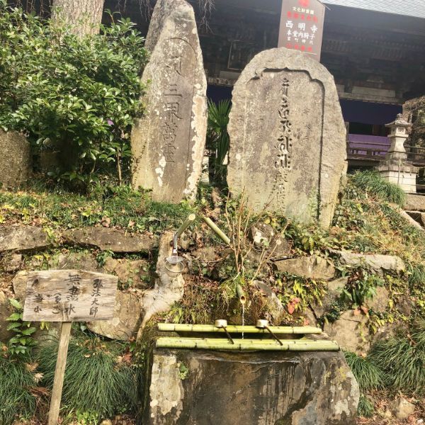 の画像