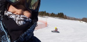 の画像