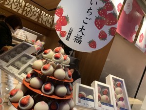 の画像