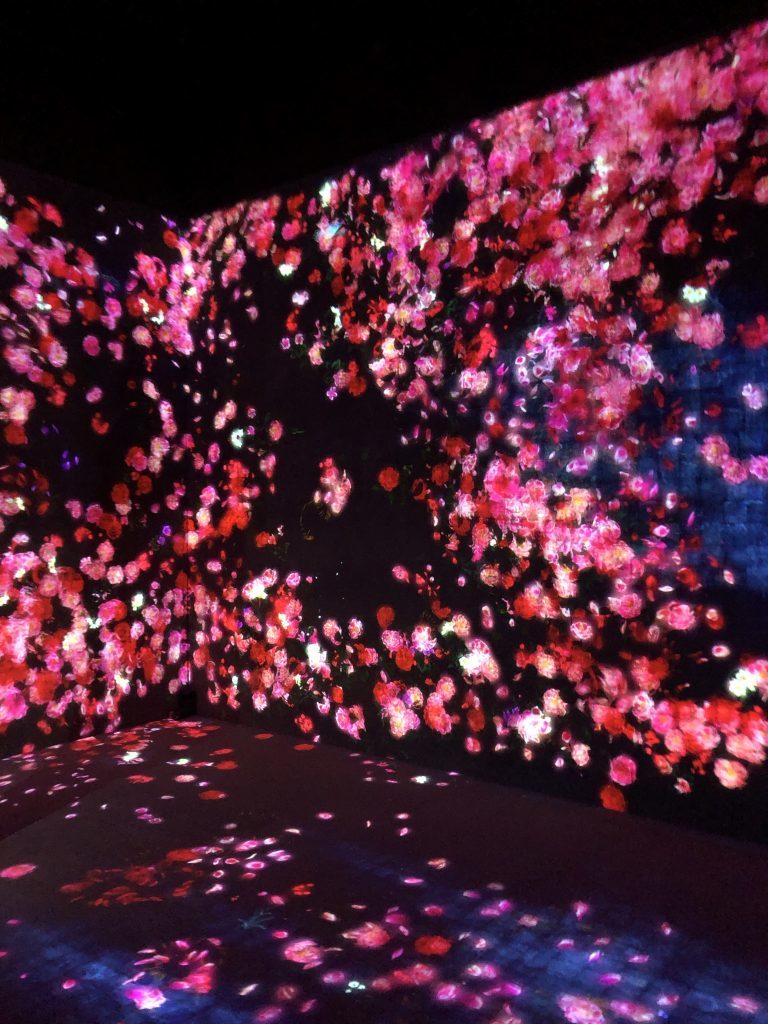 の画像