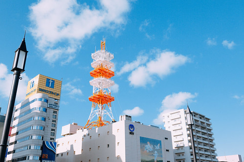 の画像