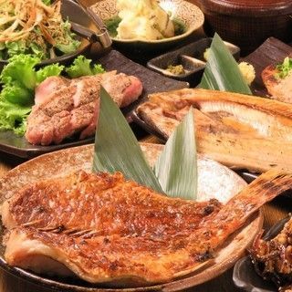 の画像