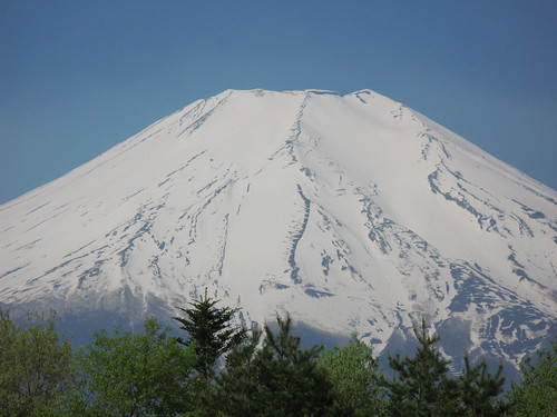 の画像