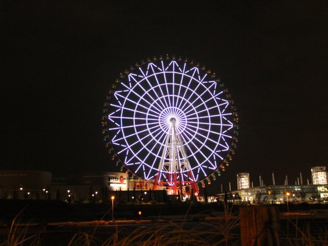 の画像