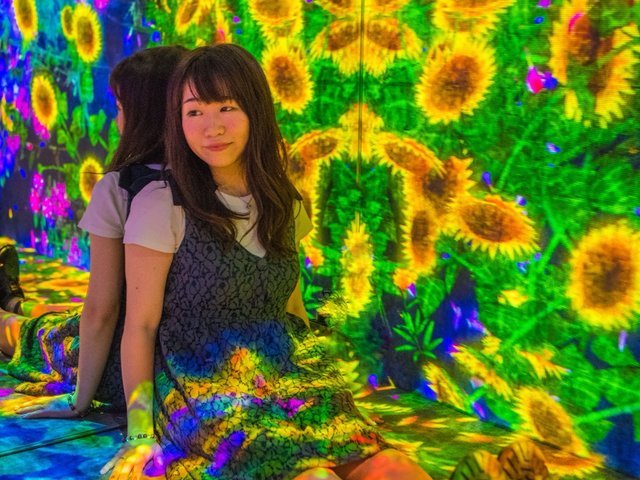 の画像