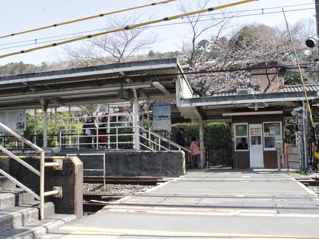 の画像