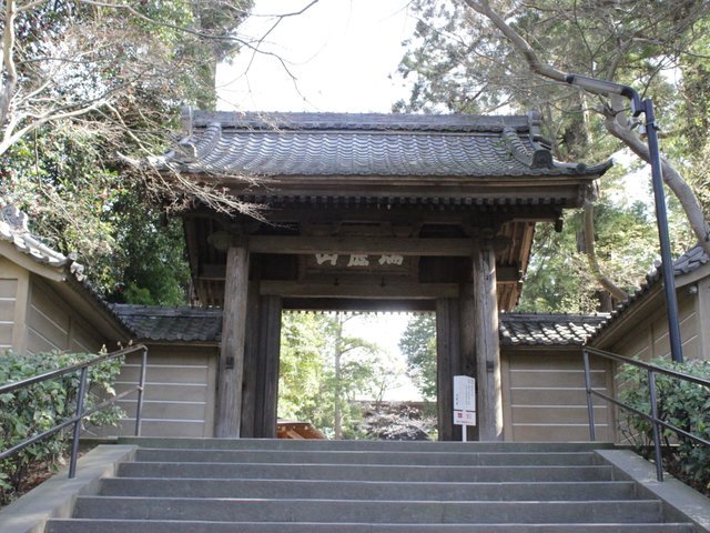 の画像