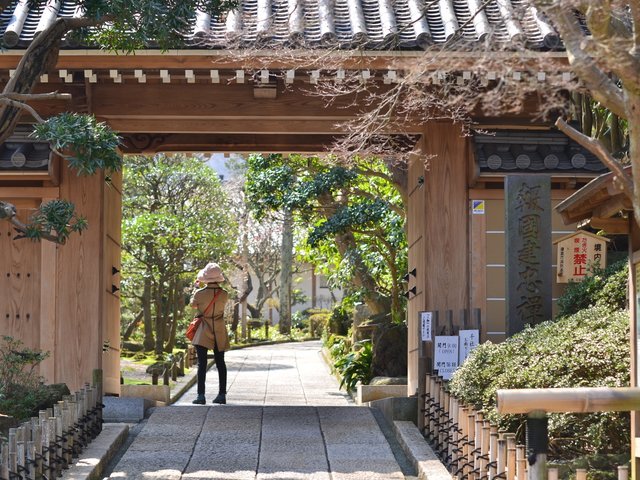 の画像