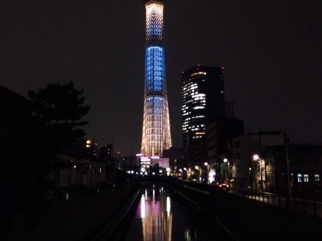 の画像