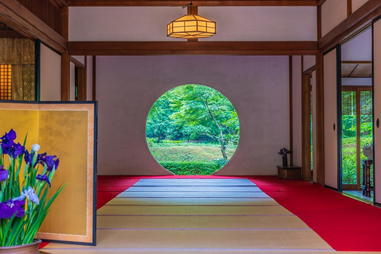 の画像