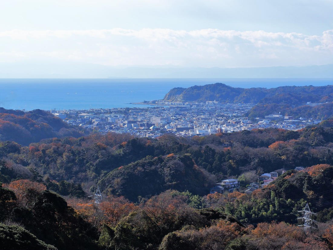 の画像