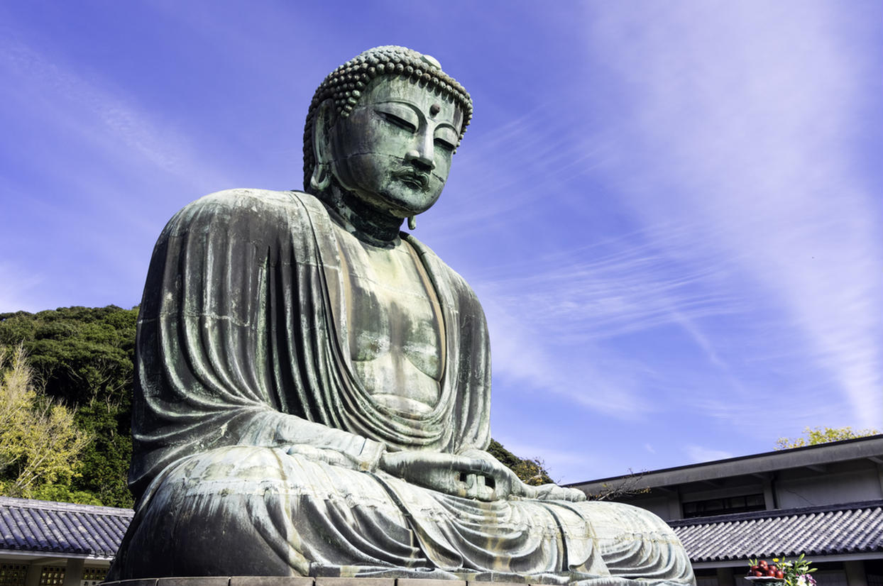 の画像