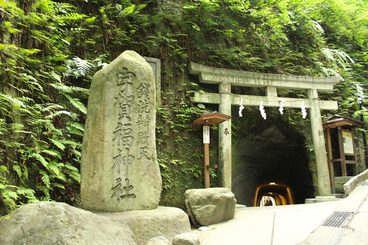 の画像