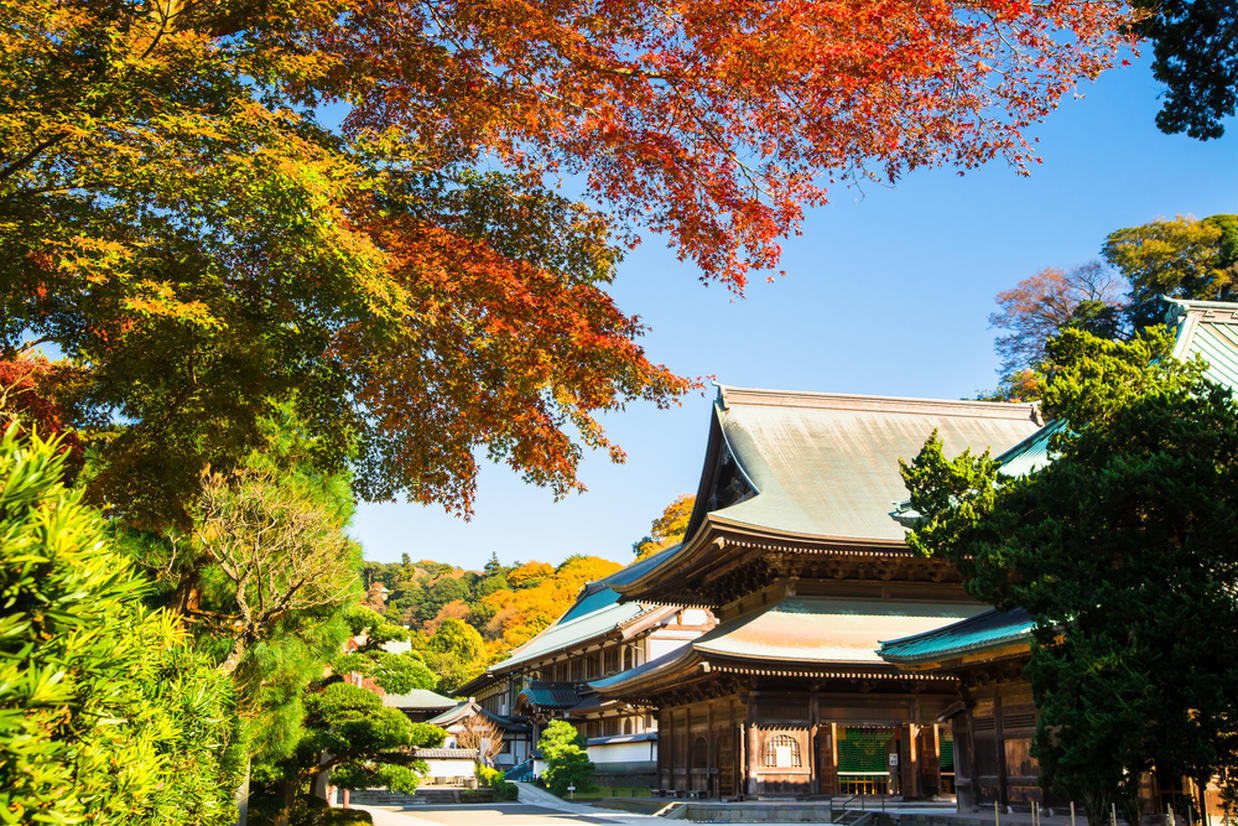 の画像