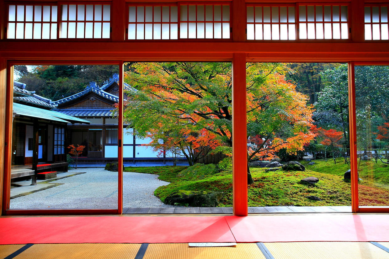 の画像
