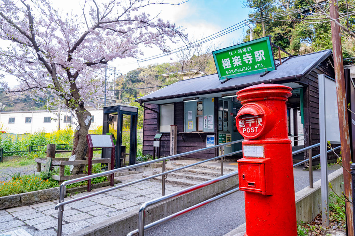 の画像
