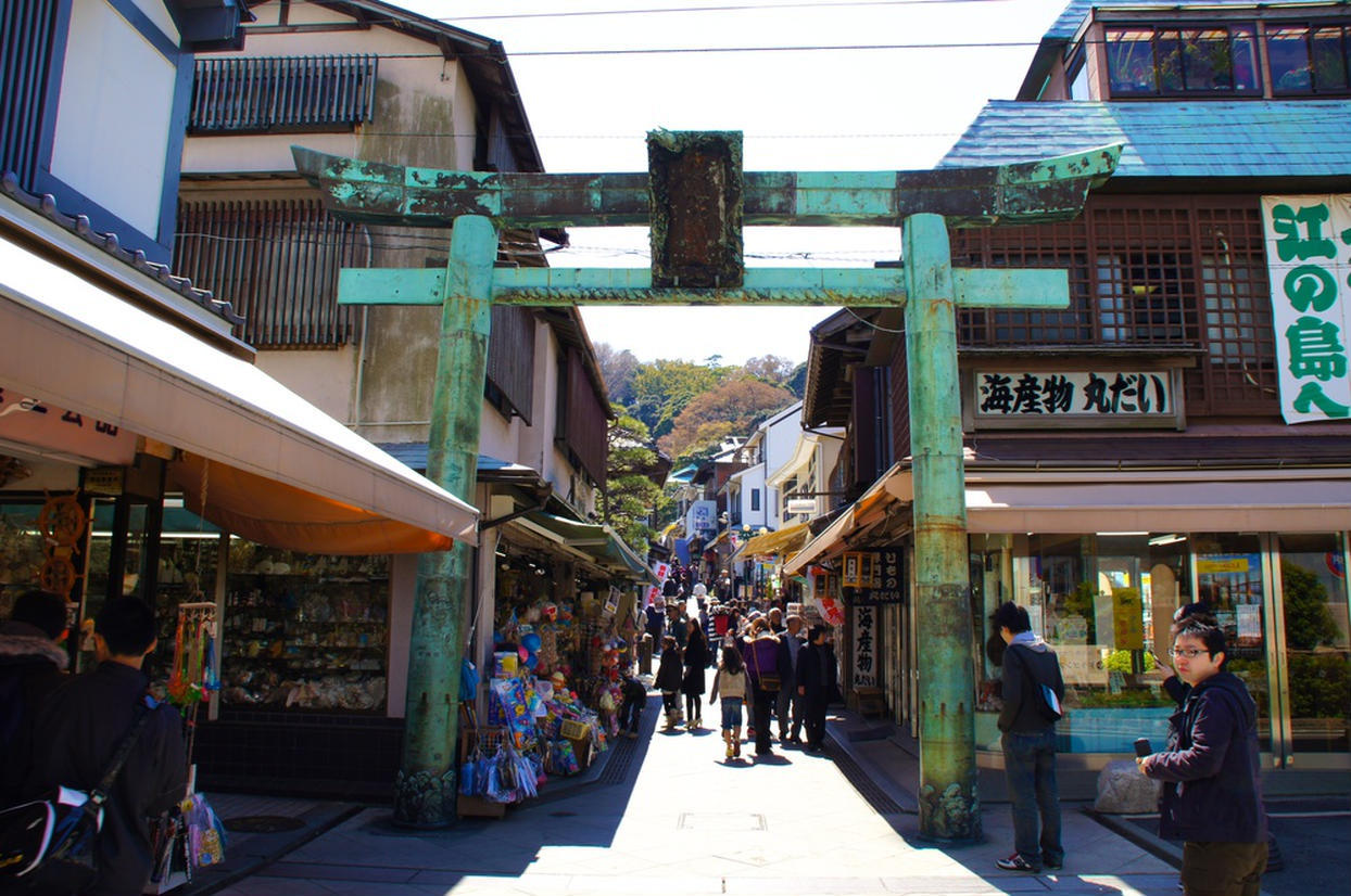 の画像