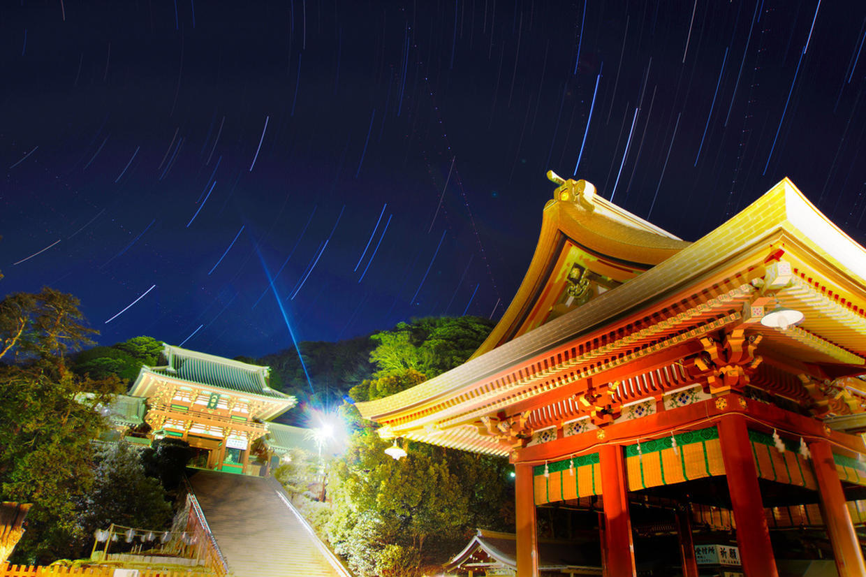 の画像