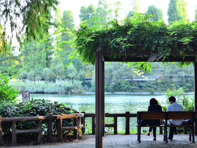 の画像