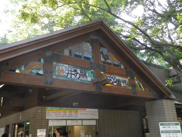 の画像